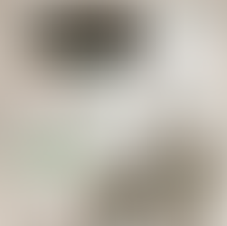 Botanical Wedding Invitation