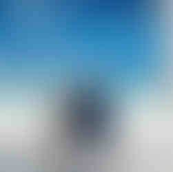 Bride and Groom on Swing on a white sand beach.