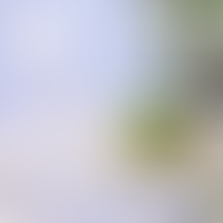 Charming and whimsical place card adorned with delicate details, adding a touch of magic to the table setting. Perfect for a fairytale wedding or enchanted event.