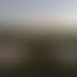 Outdoor evening wedding at Cardinal Hills