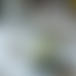 Winter wedding guest favors featuring elegant packaging with a wintery theme, suitable for the season's celebration.