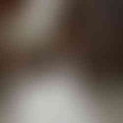 A stunning winter wedding bouquet featuring white roses, pinecones, and seasonal greenery.