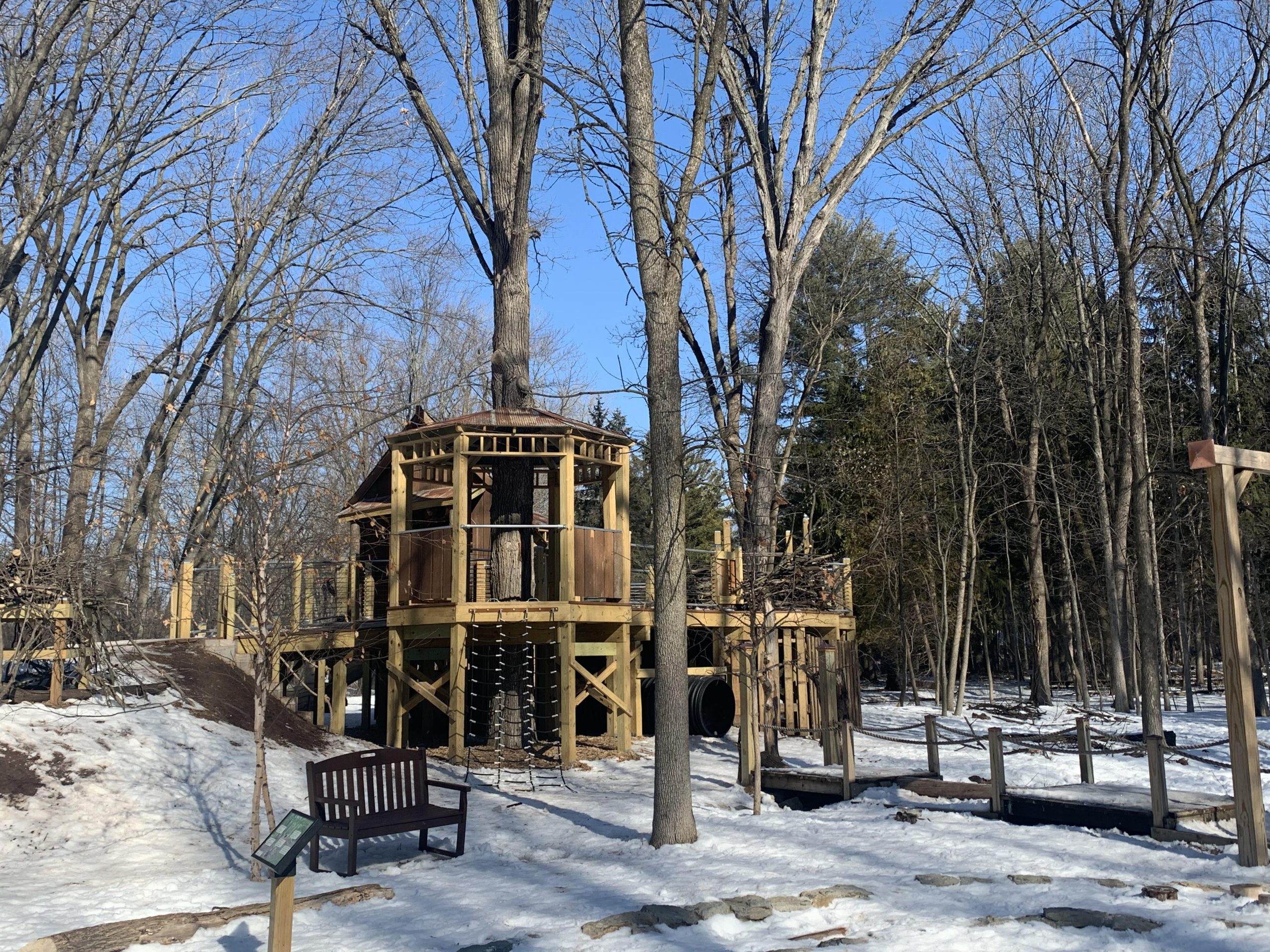 childrens canopy walk at Heckrodt Wetland Reserve