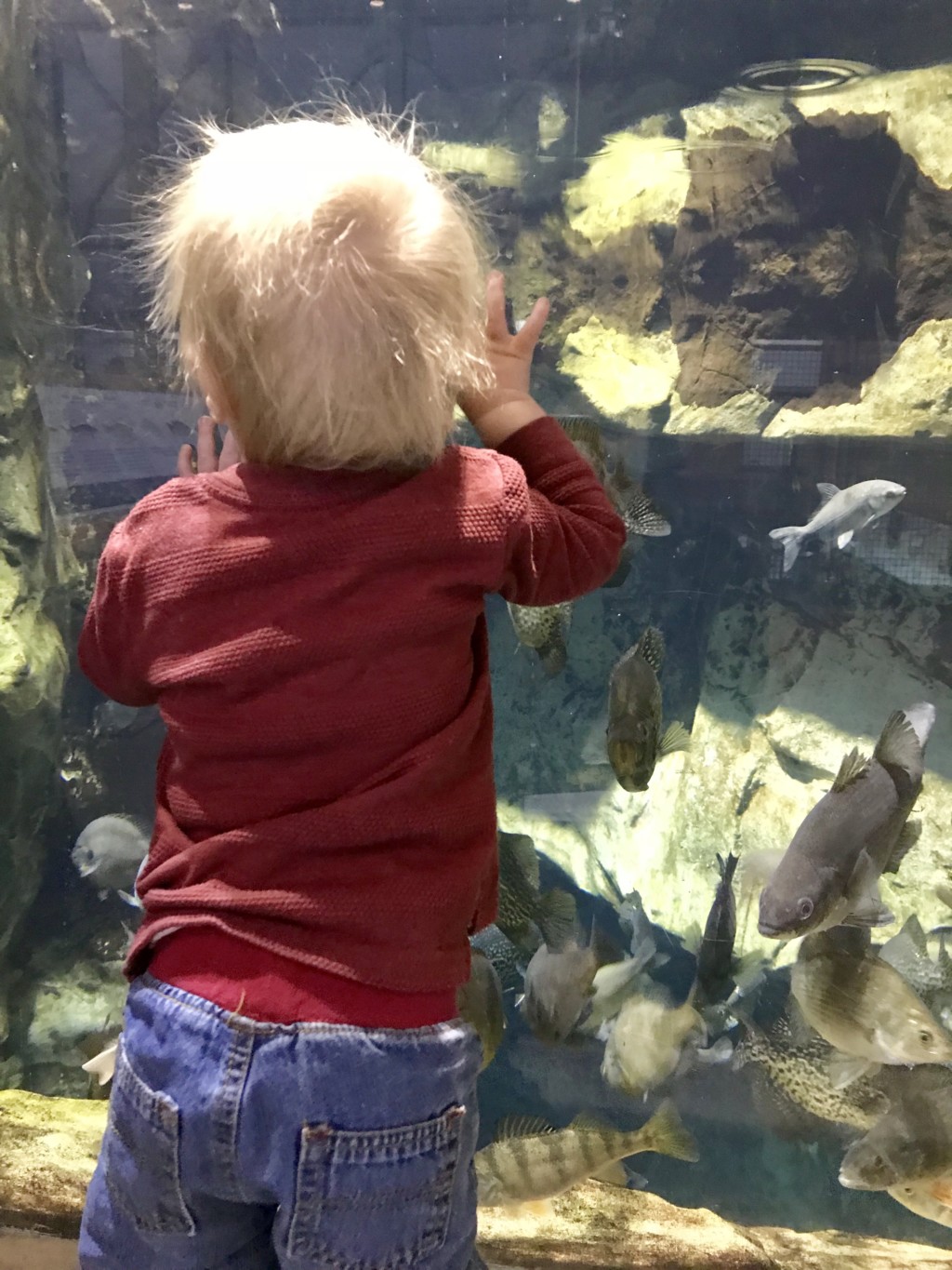 Surprise Resolution 2