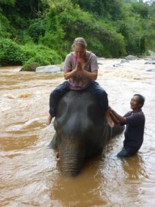 My gentle giant! A 47-year-old female elephant in northern Thailand