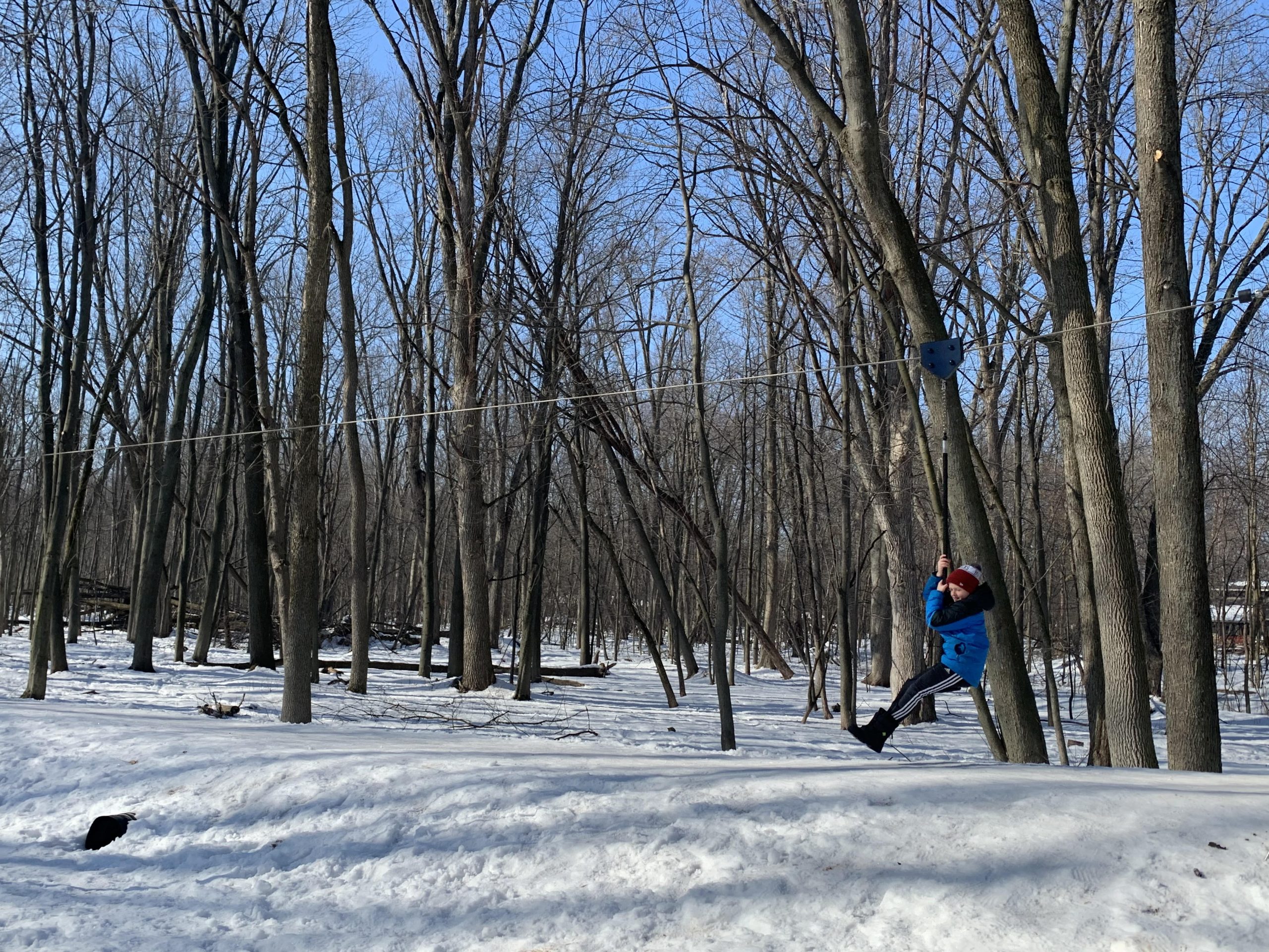 zipline at Heckrodt Wetland Reserve