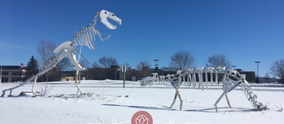 Dinosaur Tour in Green Bay!