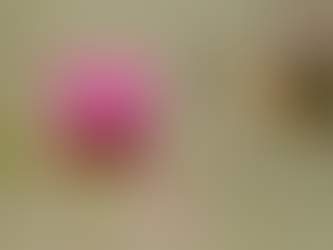 Having “The Talk” with my kids: Did I steal some innocence?