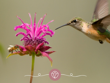 Having “The Talk” with my kids: Did I steal some innocence?