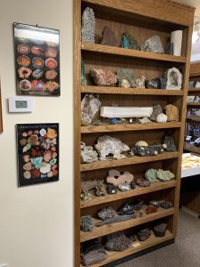 Earthaven Museum display case