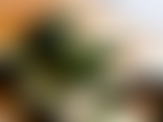 3 Easy, Healthy Zucchini Meals