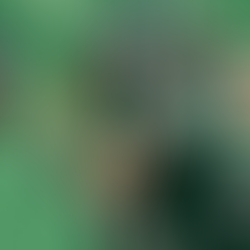 Max Meylor and the Green Bay Blizzard