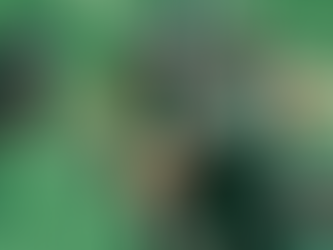 Max Meylor and the Green Bay Blizzard