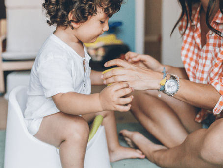 New mom. New adventures. Part 2: Potty Training