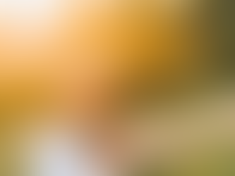 5 Tips for More Energy