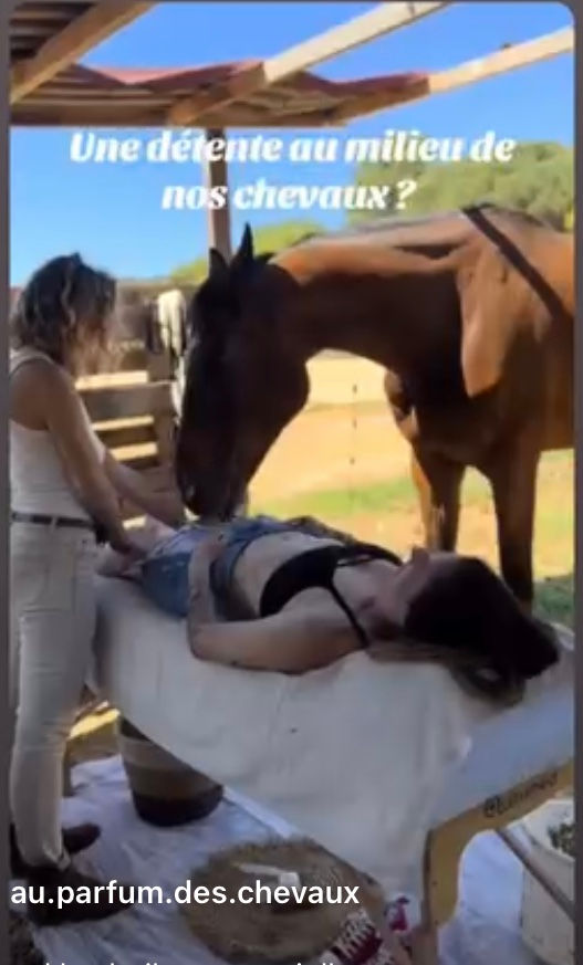 Soin sur table au milieu des chevaux