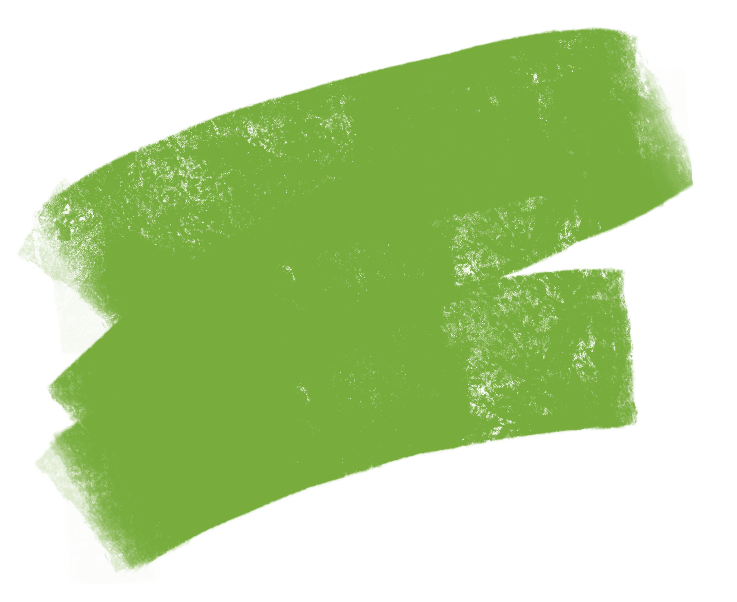 bonacasa Illustration