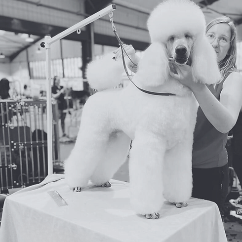 Engeland 2023 - nieuw