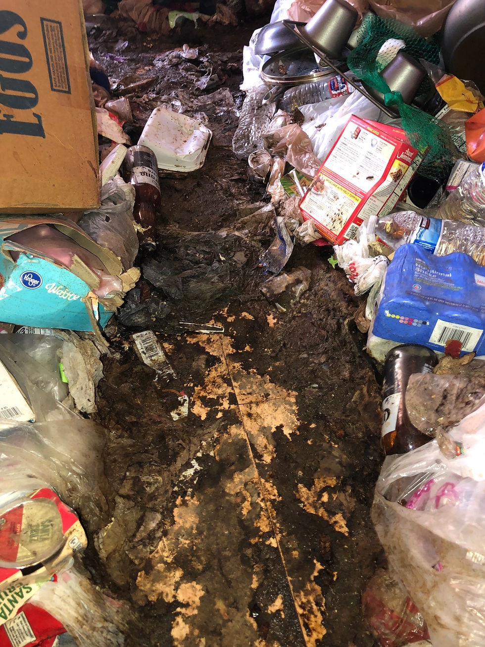 Biohazard cleaning and hoarding cleanout in Tucson, Arizona and Southern Arizona