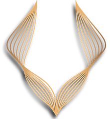 logo transparency-03 (1)_edited.png