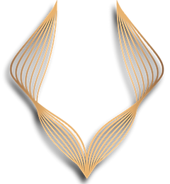 logo transparency-03 (1)_edited.png