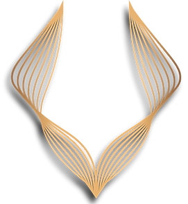 logo transparency-03 (1)_edited.png
