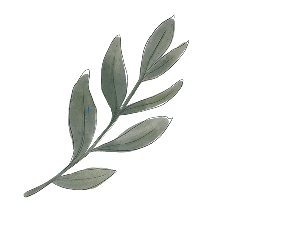 Untitled design (9)_edited.png