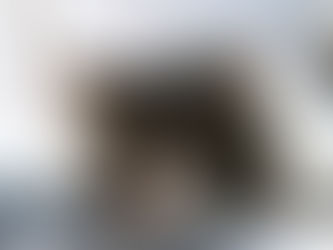 The Dead Cat-Alexandre Dumas