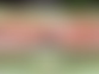 不用品を捨てるベストなタイミングとは？