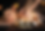 chiangmai-Shimotsuma-image-3.webp