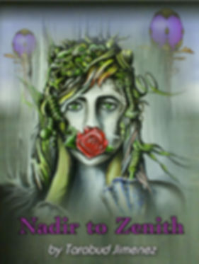 Nadir_to_Zenith_Bookcover 8.17.19.jpeg