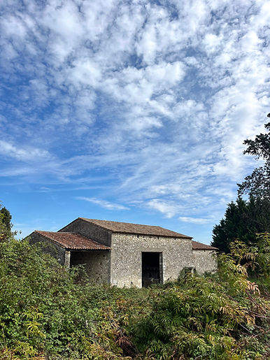 grange-dordogne-réhabilitation.jpeg
