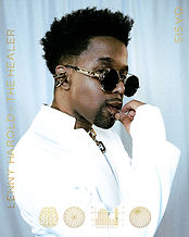 WTNC - DISTRICT COUNCIL BANNER - LENNY.jpg