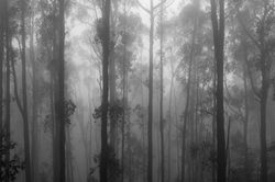 20211113-DSC02080
