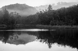 Moments of Reflection