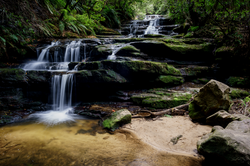 Tempting Leura