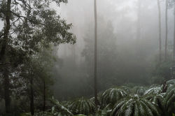 20210515-DSC01644