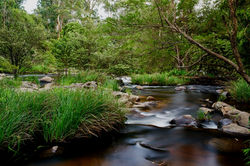 The Mighty Yarra