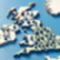 BrokerNetworkWebsite.png