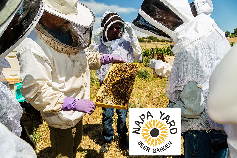 Thumbnail: Bee Workshop - Aug 24 Mon., 3pm, Napa Yard