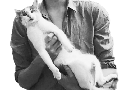 kommentárok panaszhoz