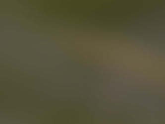 Ezek az emberek egy hajszálon kapaszkodnak