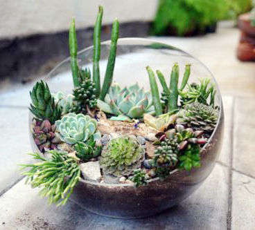 斜座式玻璃缸組合