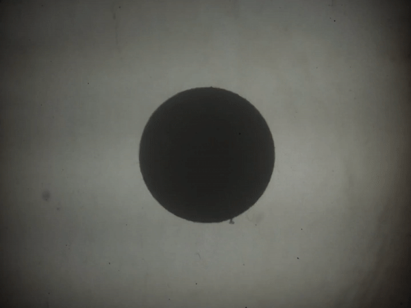 dot direct film gif.gif