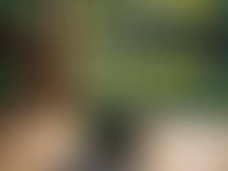 RISVEGLIATI: NON È PIÙ TEMPO DI ASPETTARE