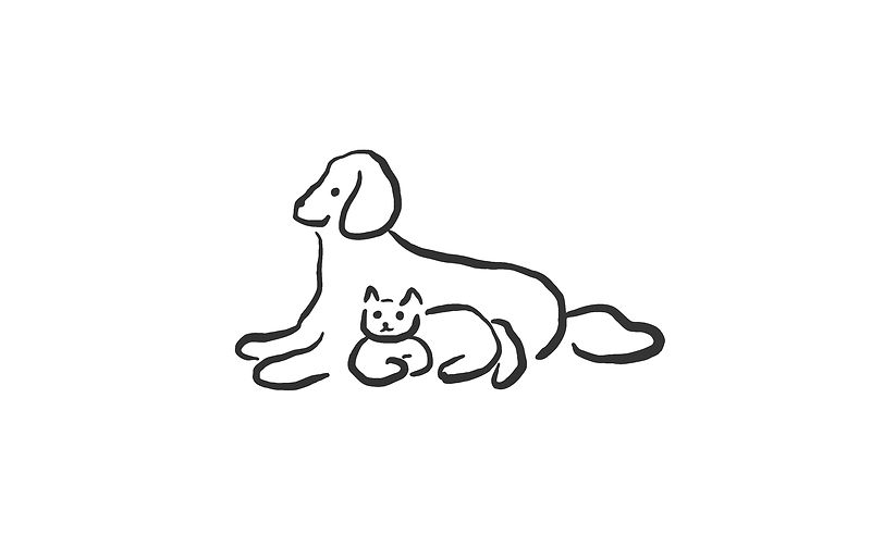 名称未設定 1.jpg