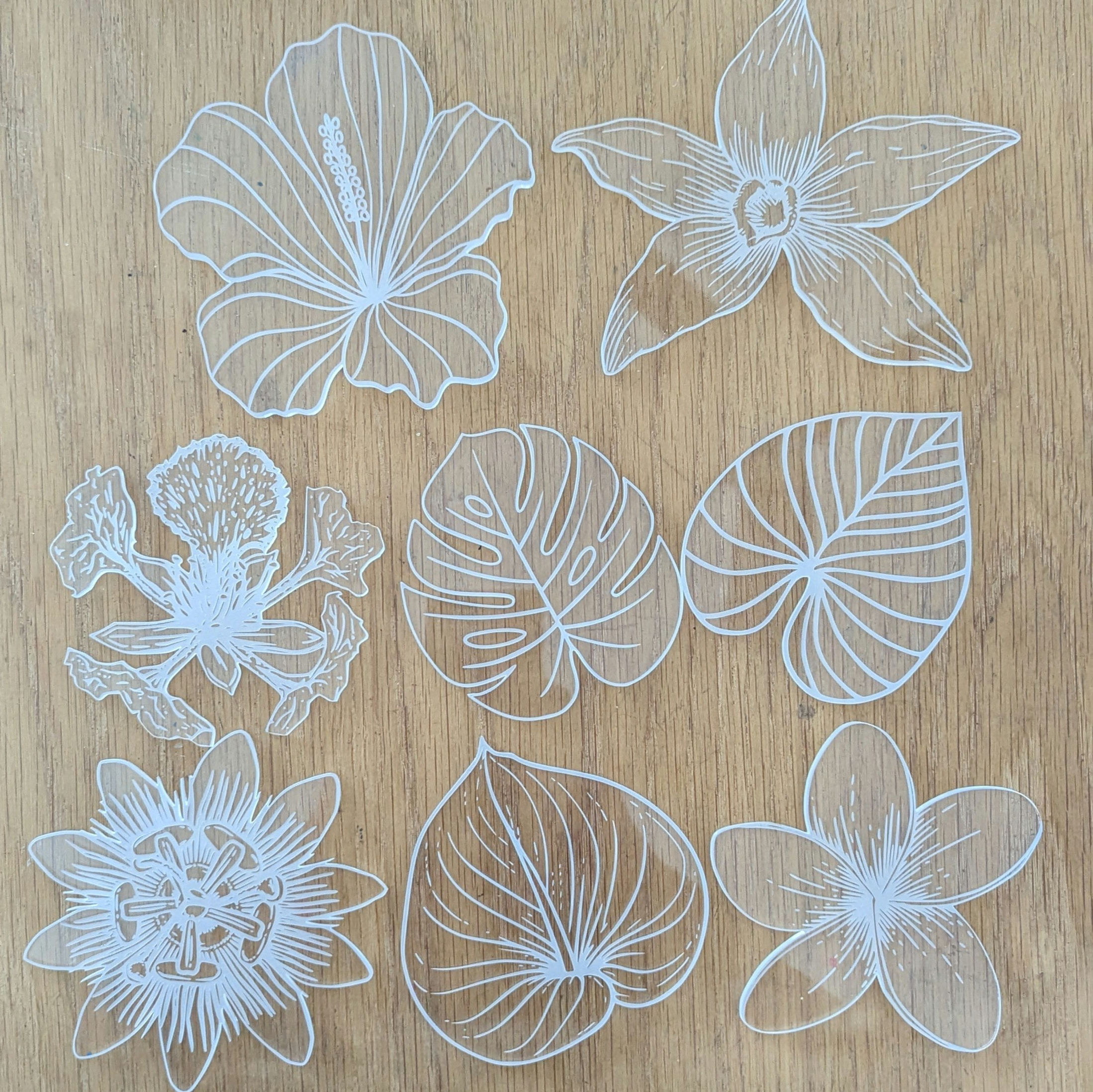 Dessous de verres et de bouteilles - Tropical 