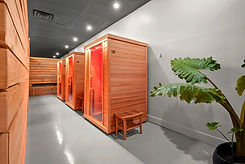 Sunlighten Infrared Saunas.