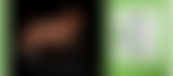 Dressuur Clinic Crista Bruine de Bruin