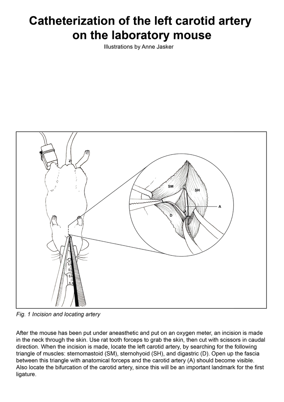 C3_layout_1a_Tekengebied 1.png